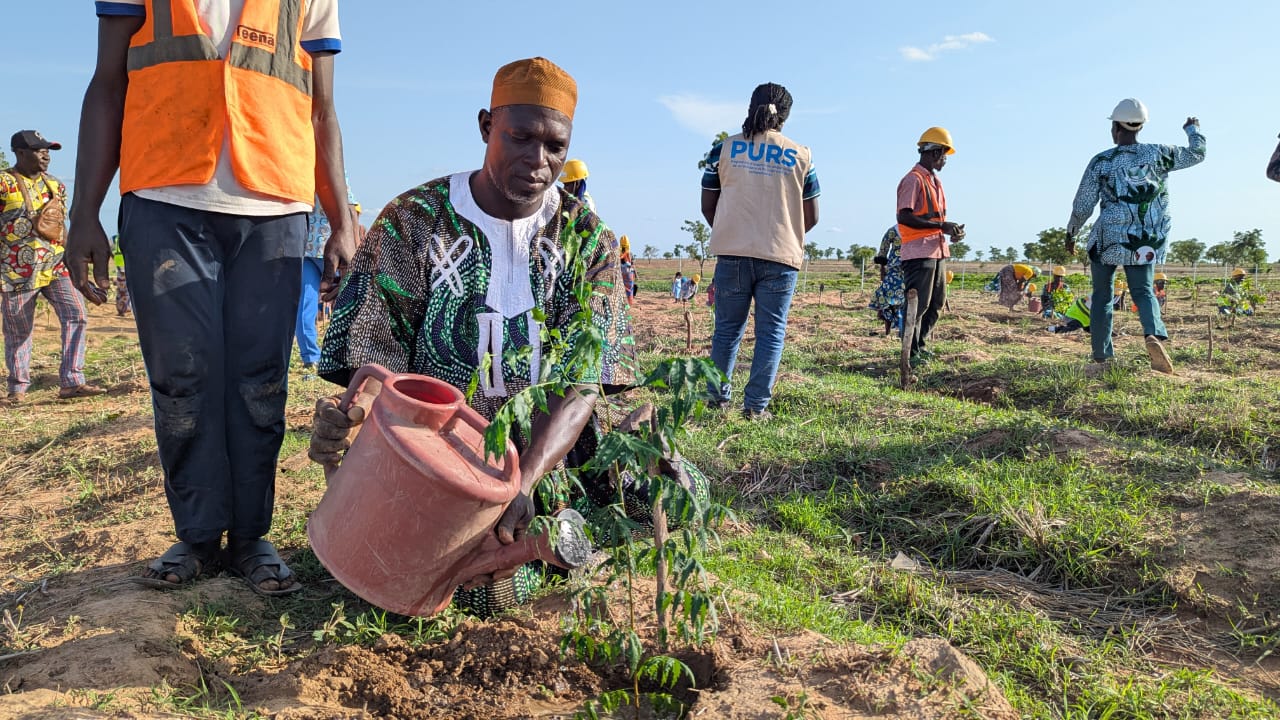 Sangole : 1 500 arbres pour renforcer la résilience des communautés